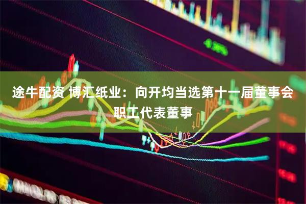 途牛配资 博汇纸业：向开均当选第十一届董事会职工代表董事