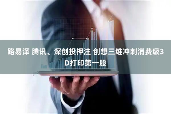 路易泽 腾讯、深创投押注 创想三维冲刺消费级3D打印第一股