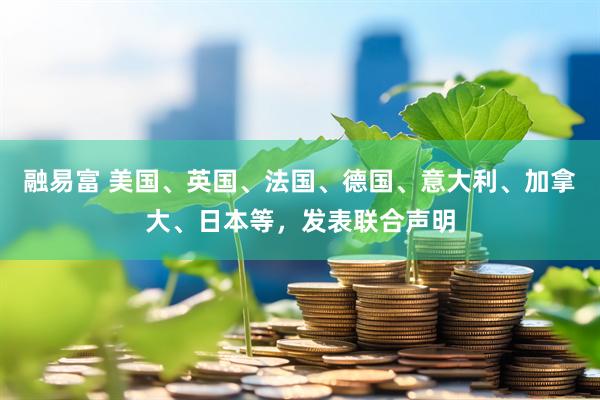 融易富 美国、英国、法国、德国、意大利、加拿大、日本等，发表联合声明