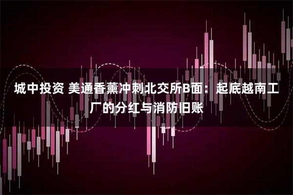 城中投资 美通香薰冲刺北交所B面：起底越南工厂的分红与消防旧账